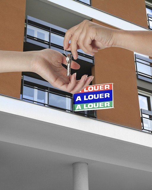 Votre agence immobilière à lyon 7e et 8e : succès garanti !